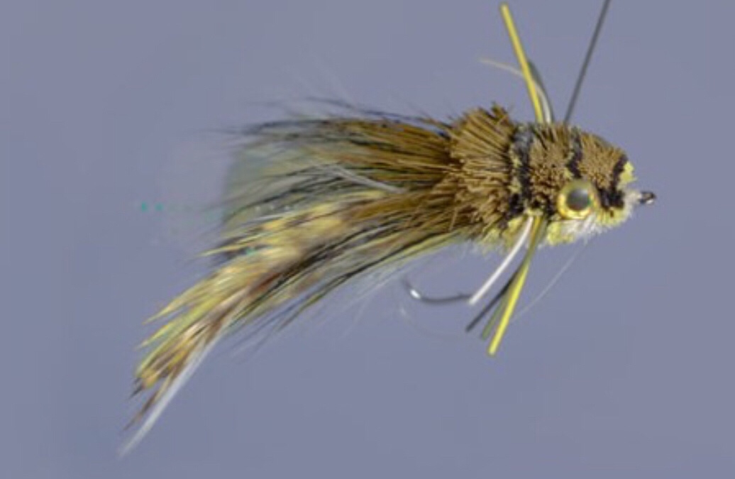 Classic Flared Hair-Wing Dry Flies' - Dave & Emily Whitlock